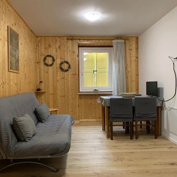A small wood-paneled living and dining room contains a sofa, table, chairs and television, lit by ceiling light and window light.